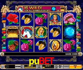 Descubra o Mundo do Cassino Online com pubet