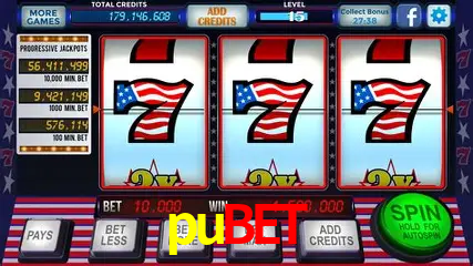 Descubra o Mundo do Cassino Online com pubet